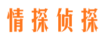 云和市私家侦探